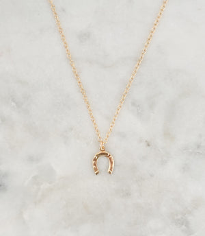 Horseshoe Necklace